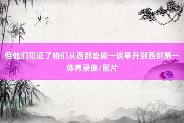 但他们见证了咱们从西部垫底一谈攀升到西部第一体育录像/图片