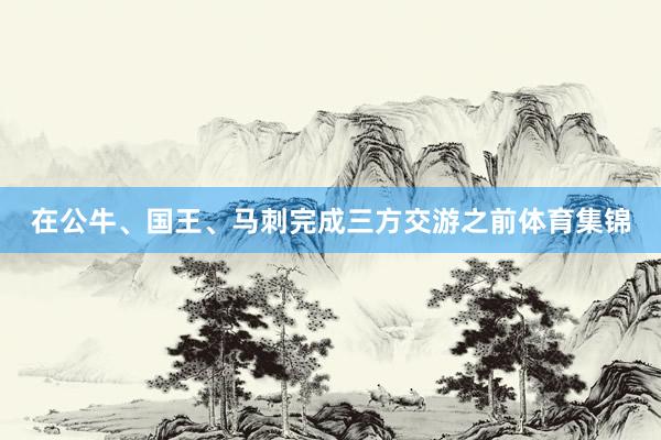 在公牛、国王、马刺完成三方交游之前体育集锦
