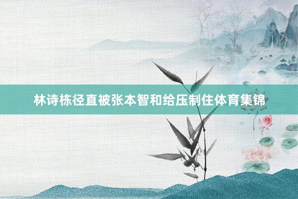 林诗栋径直被张本智和给压制住体育集锦