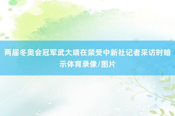 两届冬奥会冠军武大靖在禁受中新社记者采访时暗示体育录像/图片