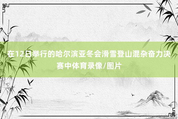 在12日举行的哈尔滨亚冬会滑雪登山混杂奋力决赛中体育录像/图片