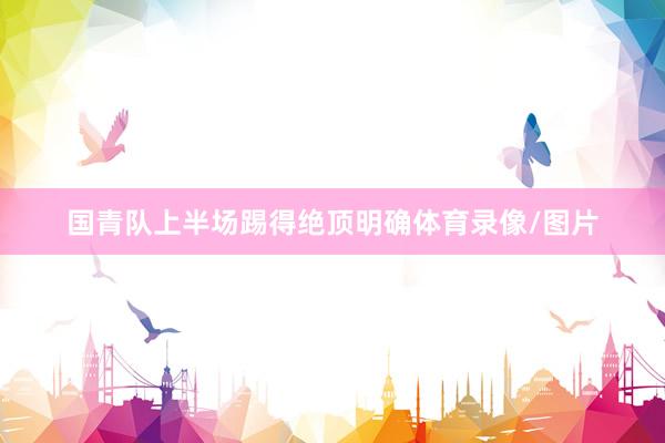 国青队上半场踢得绝顶明确体育录像/图片