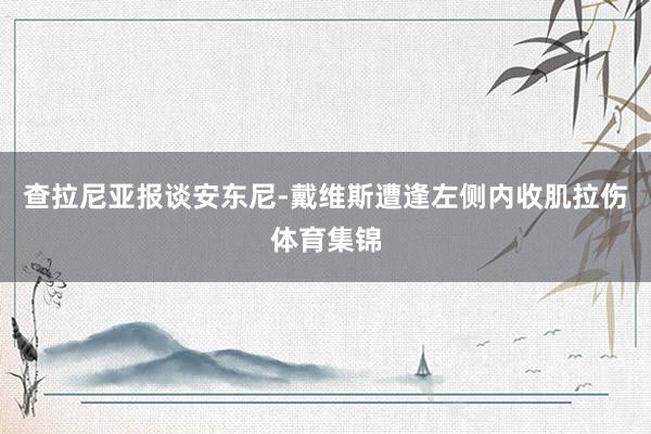 查拉尼亚报谈安东尼-戴维斯遭逢左侧内收肌拉伤体育集锦