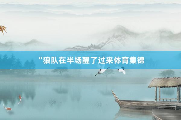 “狼队在半场醒了过来体育集锦