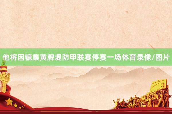 他将因辘集黄牌堤防甲联赛停赛一场体育录像/图片