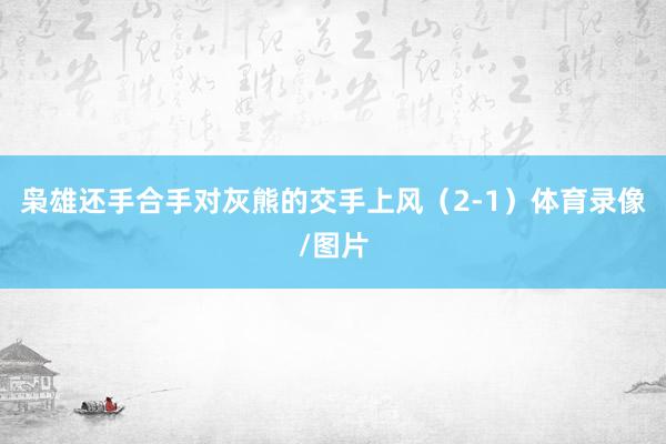 枭雄还手合手对灰熊的交手上风（2-1）体育录像/图片