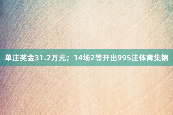 单注奖金31.2万元;14场2等开出995注体育集锦