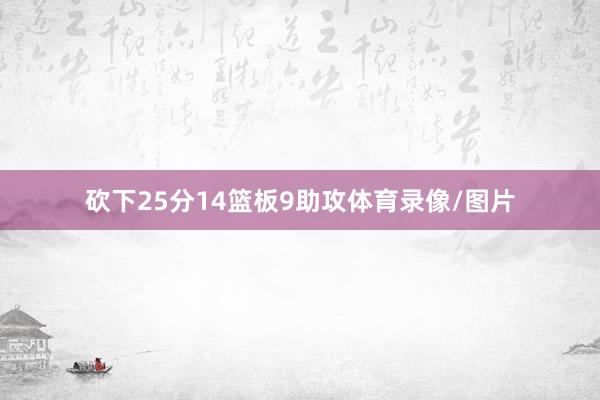 砍下25分14篮板9助攻体育录像/图片