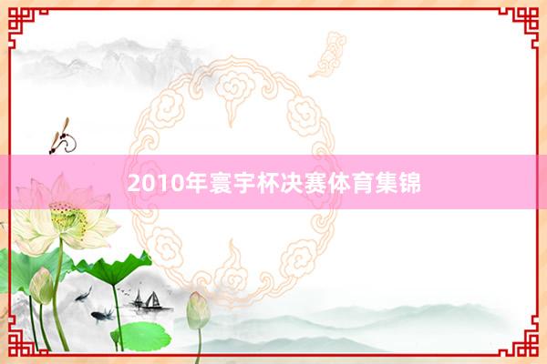 2010年寰宇杯决赛体育集锦