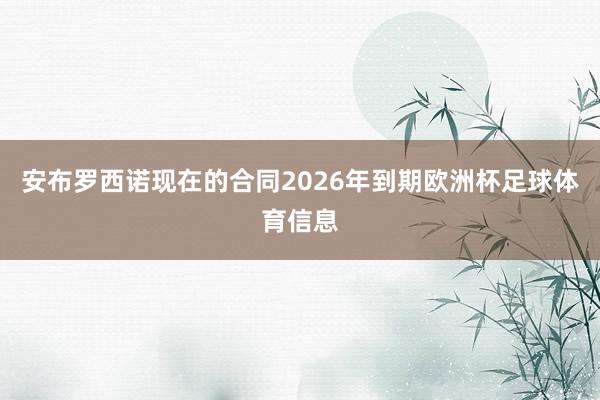 安布罗西诺现在的合同2026年到期欧洲杯足球体育信息