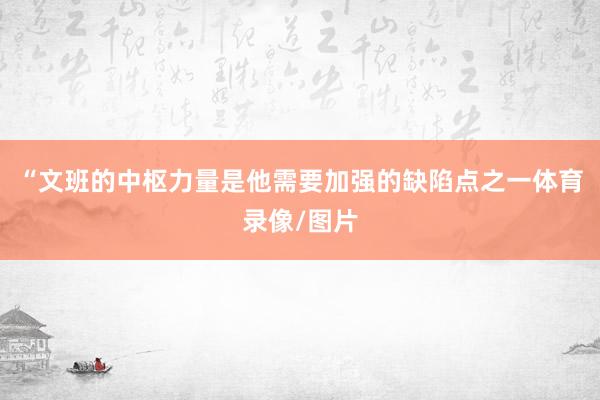 “文班的中枢力量是他需要加强的缺陷点之一体育录像/图片