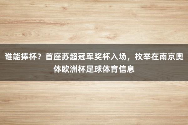 谁能捧杯？首座苏超冠军奖杯入场，枚举在南京奥体欧洲杯足球体育信息