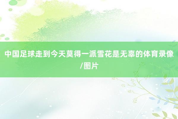 中国足球走到今天莫得一派雪花是无辜的体育录像/图片
