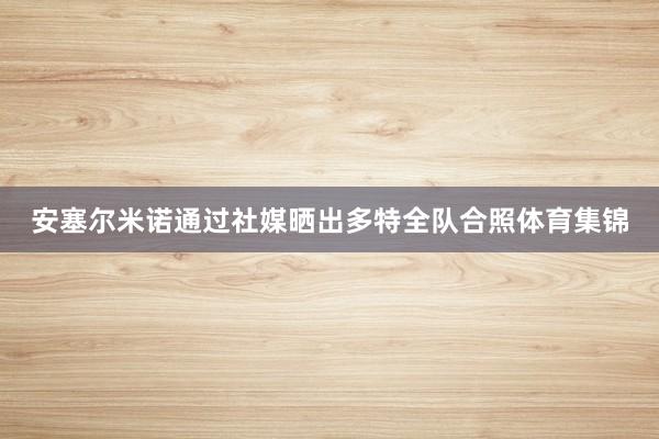 安塞尔米诺通过社媒晒出多特全队合照体育集锦