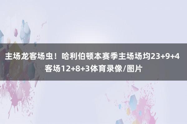 主场龙客场虫！哈利伯顿本赛季主场场均23+9+4 客场12+8+3体育录像/图片