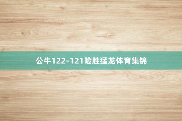 公牛122-121险胜猛龙体育集锦