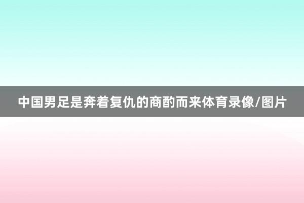 中国男足是奔着复仇的商酌而来体育录像/图片